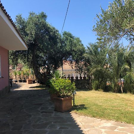 Residence Serrone Santa Maria di Castellabate Buitenkant foto