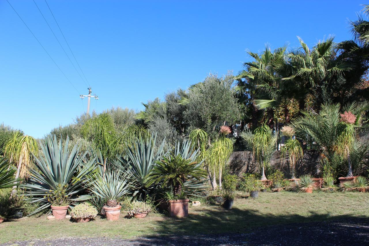 Residence Serrone Santa Maria di Castellabate Buitenkant foto