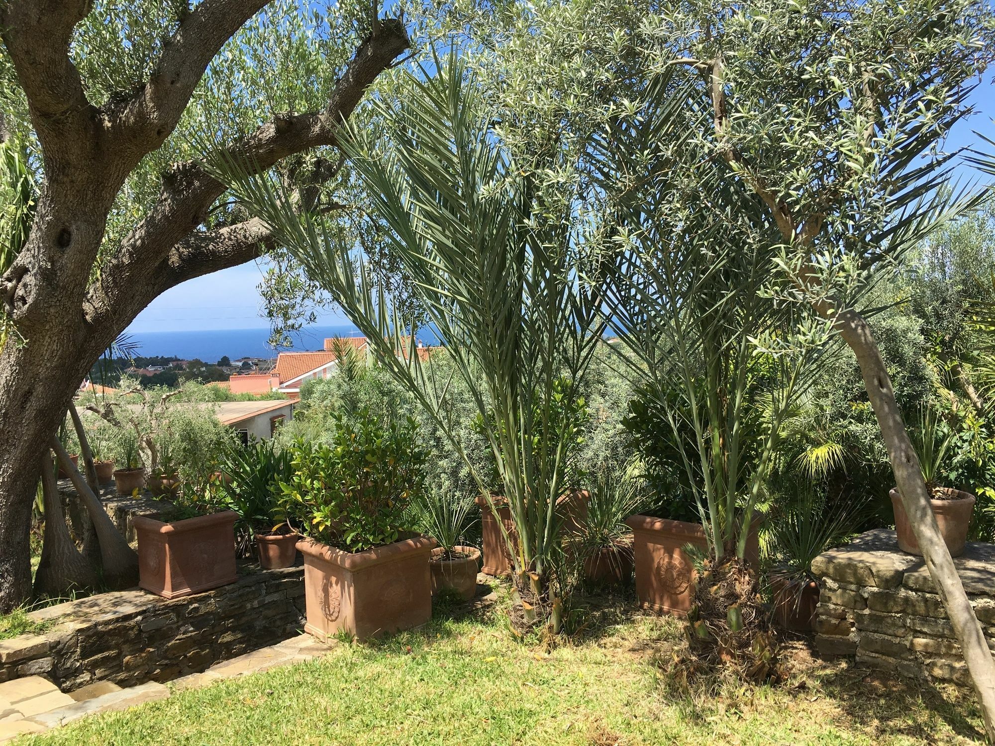 Residence Serrone Santa Maria di Castellabate Buitenkant foto